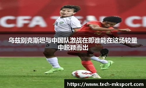 MK体育官方网站